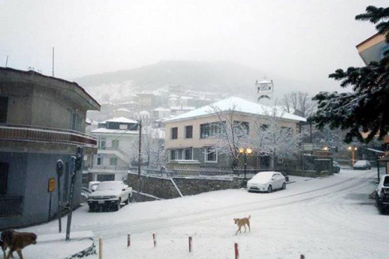 Χιόνισε στα ορεινά του νομού Λάρισας