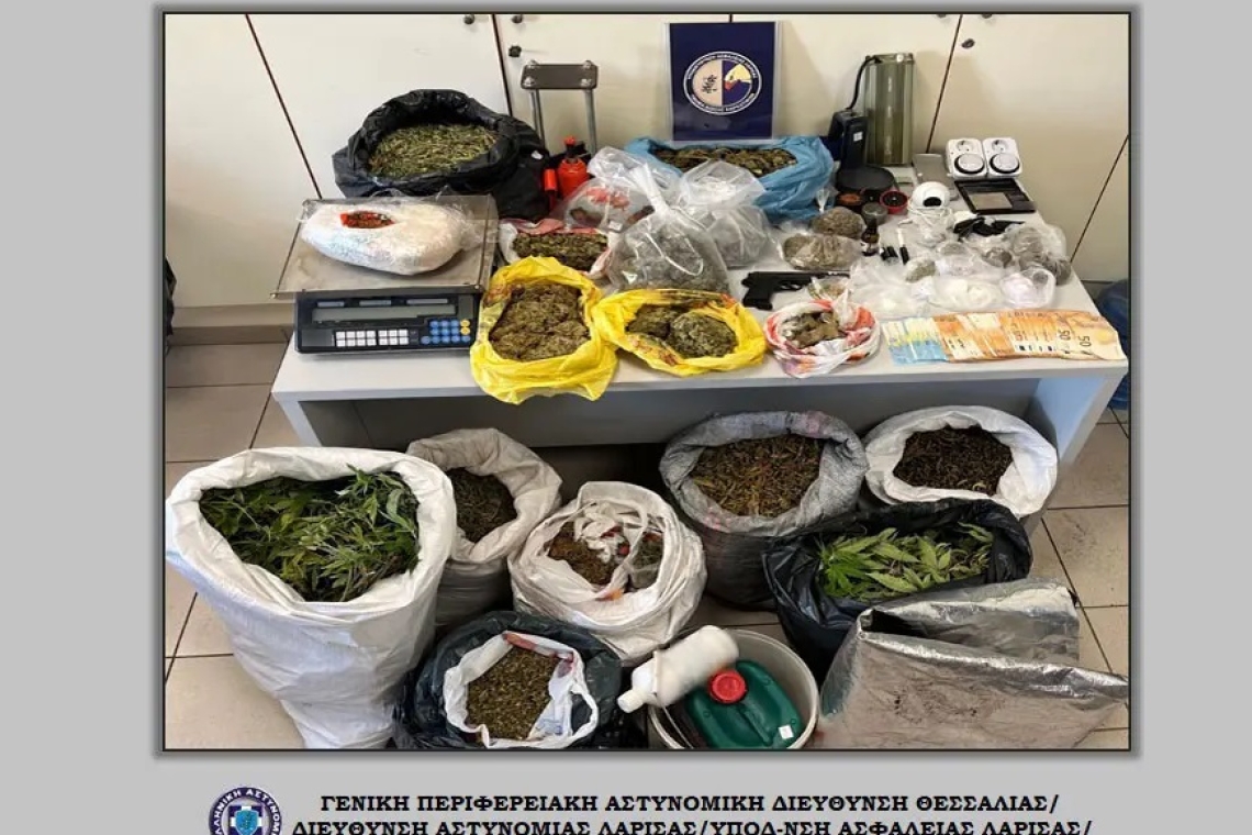 Ελασσόνα : Συνελήφθη με 60 καλλιεργούμενα δενδρύλλια κάνναβης