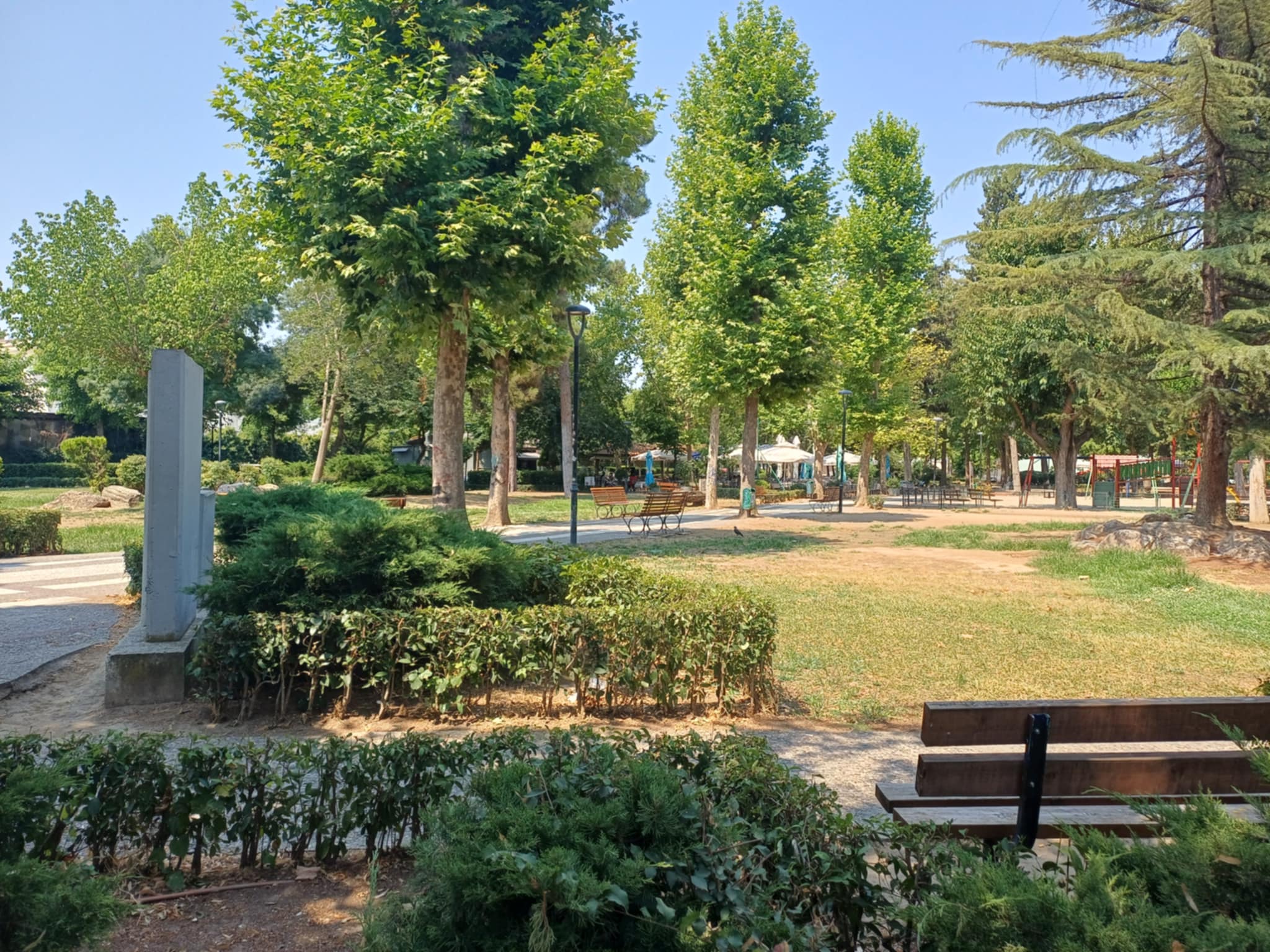 Αγανάκτηση και οργή από τις μαζικές δηλητηριάσεις ζώων στον Άγιο Αντώνιο